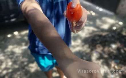 El aumento de casos de dengue ha llevado a la búsqueda de alternativas más accesibles que la costosa vacuna Qdenga,