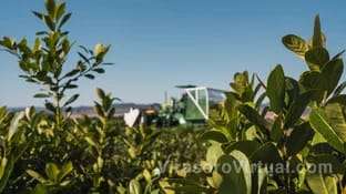 El Instituto Nacional de la Yerba Mate convocó a una sesión para determinar precios,