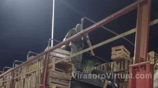 Gendarmería Nacional llevó a cabo un operativo en la Ruta Nacional N° 11,