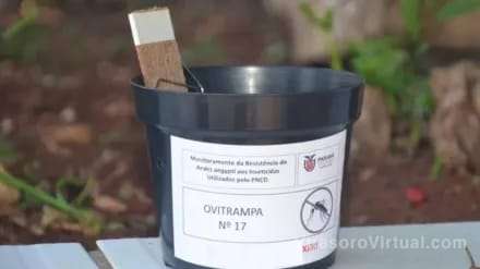 El Ministerio de Desarrollo Social de la provincia de Ctes desplegará un total de 35.275 ovitrampas