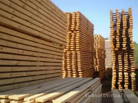 La Ministra de Producción, Trabajo de Ctes, Mariel Gabur, destacó la importancia del aserradero más grande Acontimber