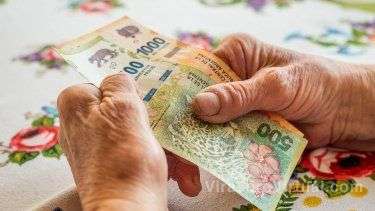 La Administración Nacional de la Seguridad Social (ANSES) anunció nuevos bonos para jubilados y pensionados en febrero,