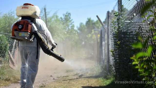 Los casos de dengue en Santo Tomé han aumentado, alcanzando un total de 345 casos