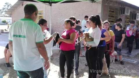 En un predio de la UNNE en Corrientes, se detectó un murciélago con rabia, lo que llevó al Ministerio de Salud Pública