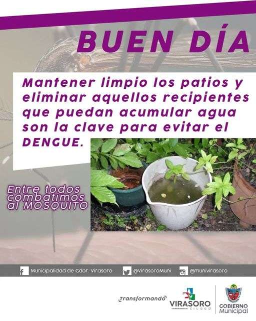 Prevención Dengue