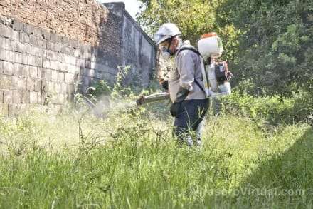 La provincia de Corrientes enfrenta un aumento de casos de dengue, con un promedio de 300 casos activos.