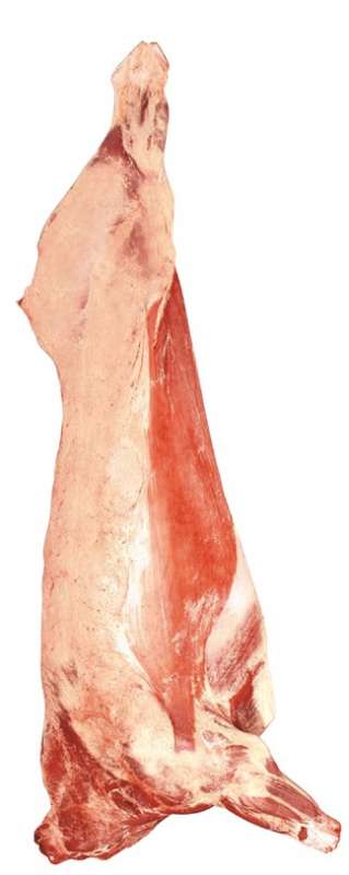 Se decomisaron 64 cortes de medias res de carne vacuna en Santo Tomé
