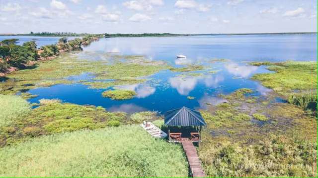 Esteros del Iberá, el segundo humedal más grande del mundo