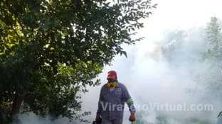 Dengue: Corrientes registró 4 mil casos
