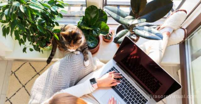 Aquí tienes cuatro plataformas para hacer teletrabajo