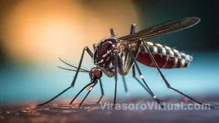 Dengue en Corrientes
