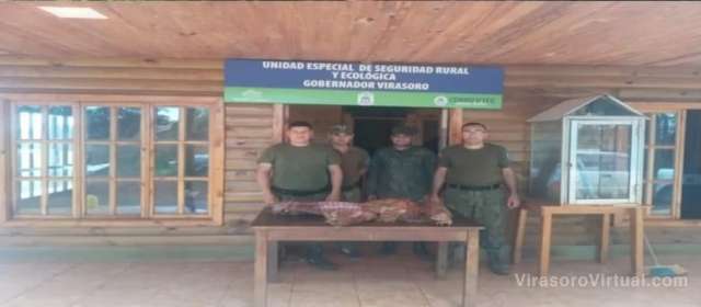 Allanaron una chacra donde hallaron piezas cárnicas
