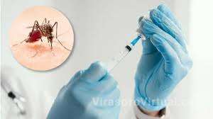 El Gobierno de Ctes ha anunciado una campaña provincial de vacunación contra el dengue que se llevará a cabo por etapas