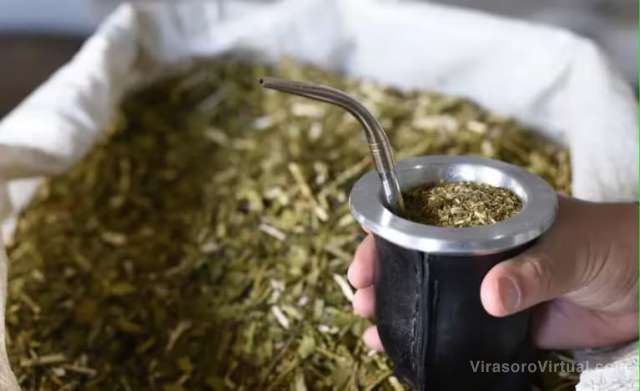 Las ventas de yerba mate aumentaron un 6,2% durante el primer bimestre de 2024,