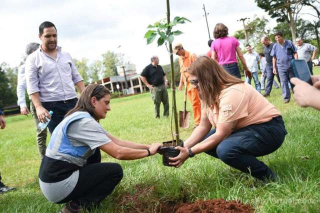 LANZAN  EL PLAN  ESTRATEGICO DE ARBOLADO URBANO