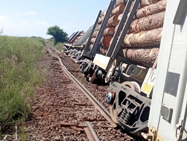 Un tren cargado con 28 vagones de pino descarriló