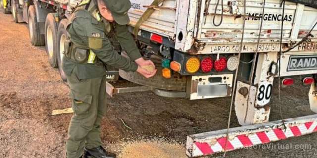 En un control de Gendarmería  interceptaron a un conductor que transportaba 70 toneladas de soja