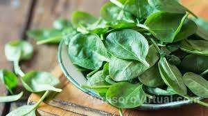 Oro verde: este es el vegetal que acelera la producción de colágeno y evita la caída del cabello