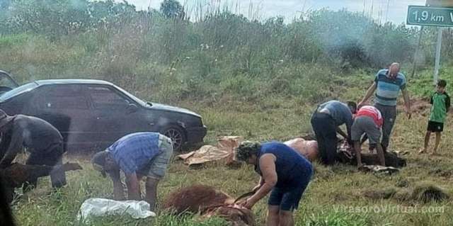 Un camión que transportaba cabezas de ganado volcó este sábado en cercanías de Virasoro