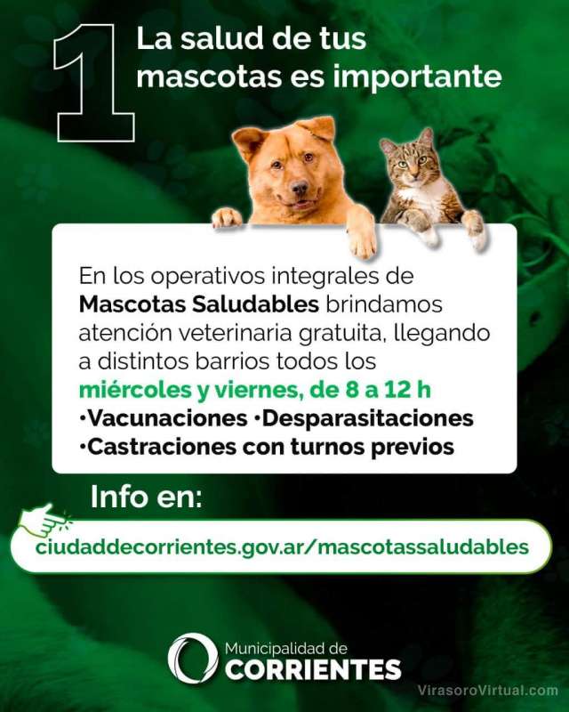 5 cosas que tenes que saber de los animales