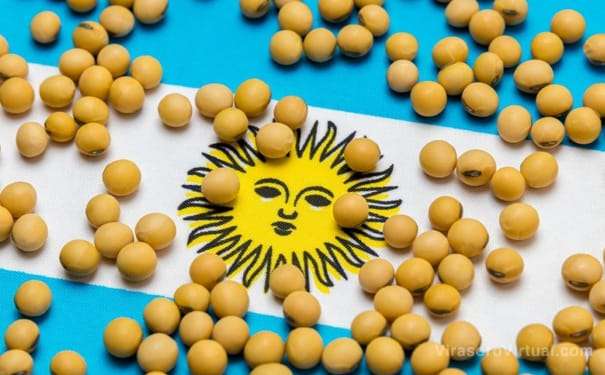 EE.UU. establecio que el aceite de soja para biocombustibles de aviación debe provenir de campos con siembra directa,