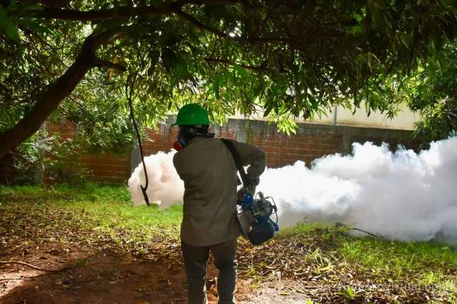 “Juntos contra el dengue
