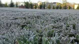 Advierten que las heladas se podrían anticipar y el invierno sería más frío
