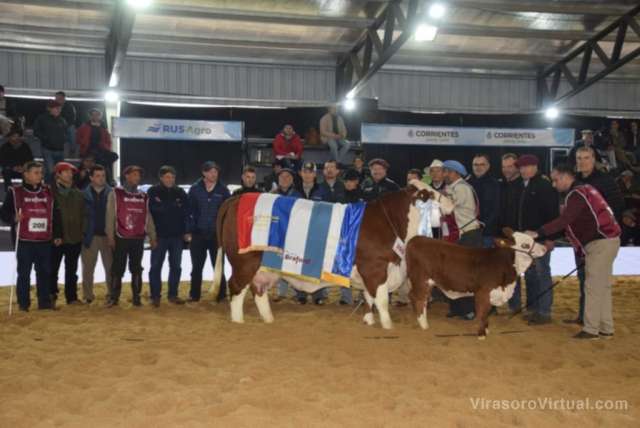 La 21ª Exposición Nacional Braford en Corrientes concluyó su etapa de juras de clasificación