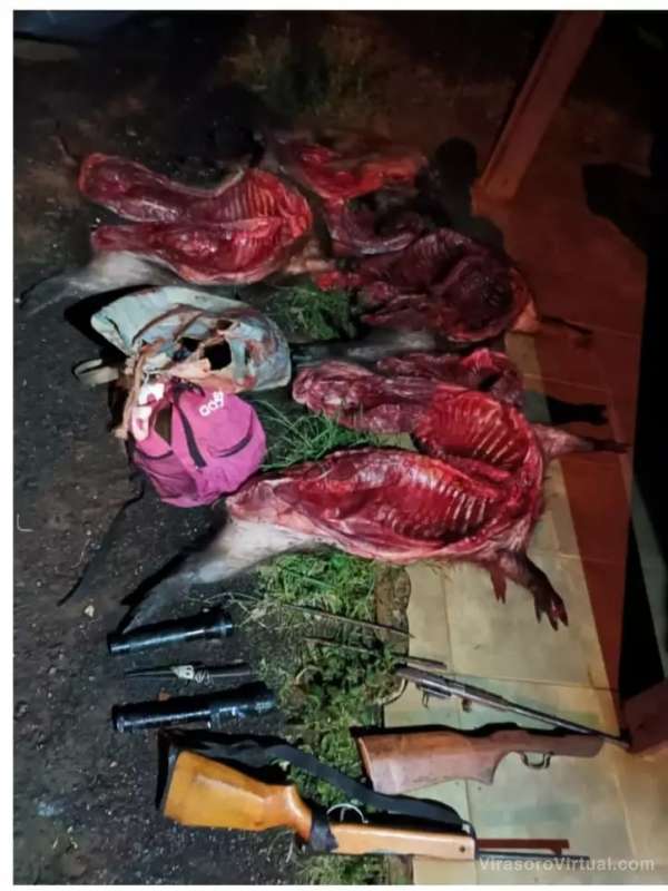 Secuestran animales silvestres faenados durante operativo de prevención