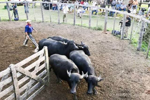 1er. Remate Mixto en Ituzaingó