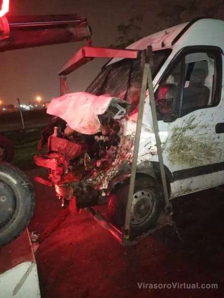 Corrientes: Dos caballos ocasionaron un siniestro vial