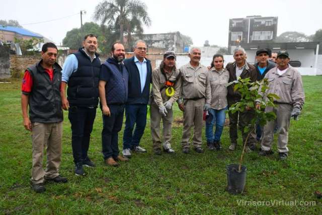 Un árbol, un vecino
