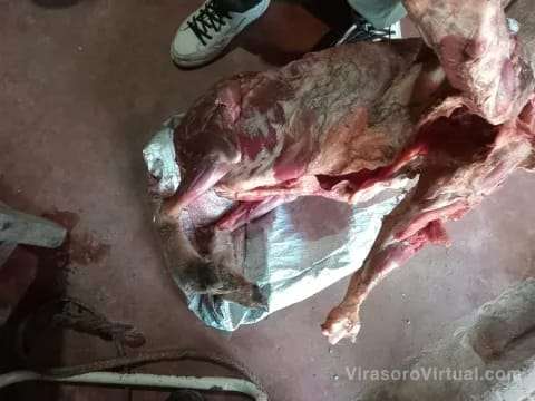 Corrientes: Vecinos redujeron a una mujer cuando se robaba una oveja faenada