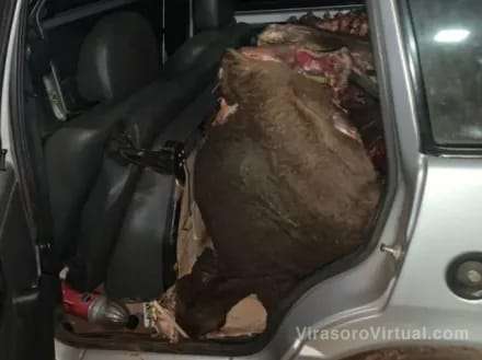 Un operativo del PRIAR de Virasoro permitió esclarecer el robo y faena clandestina de 3 animales vacunos,