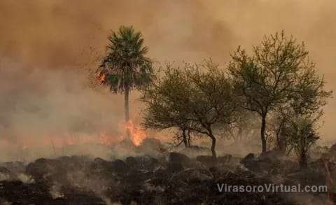 El gobernador Valdés entregará subsidios a las Asociaciones de Bomberos Voluntarios de la provincia