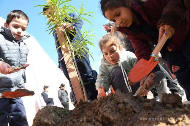 Espacio recuperado + Plantación de arboles