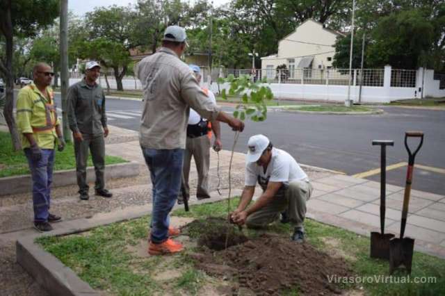 Ciudad Verde
