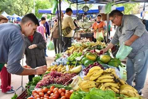 La Municipalidad de Ctes está organizando ferias en diferentes barrios de la ciudad del 20 al 25 de agosto.