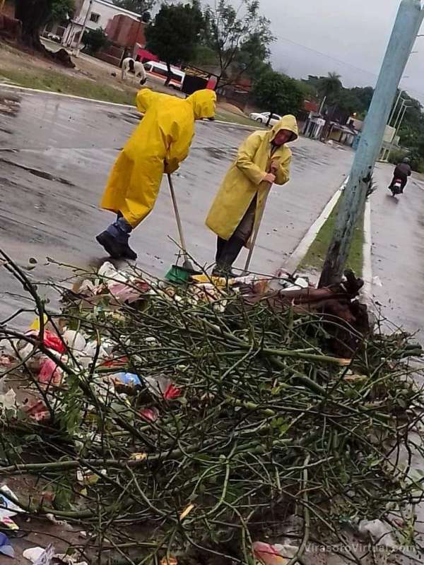 Cuadrillas en acción