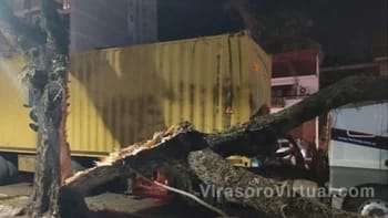 Un camión chocó contra un árbol en la ciudad de Corrientes,