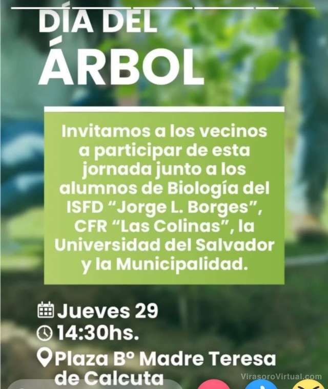 Dia del árbol
