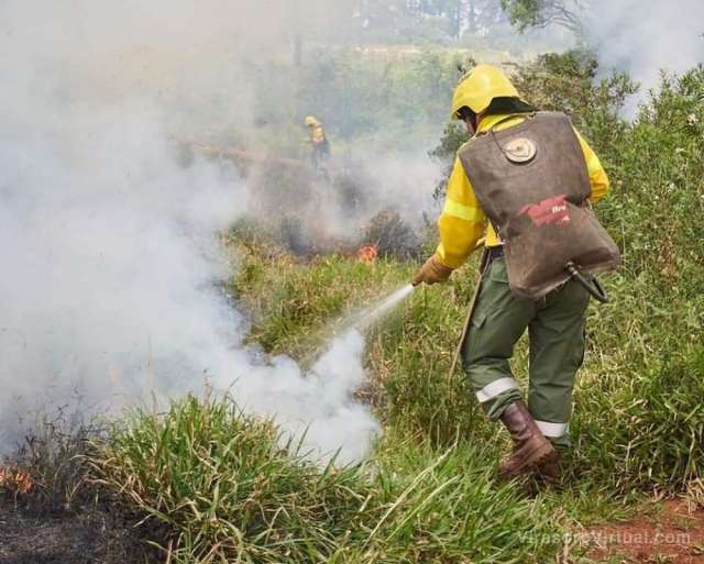Prevencion y manejo de incendios