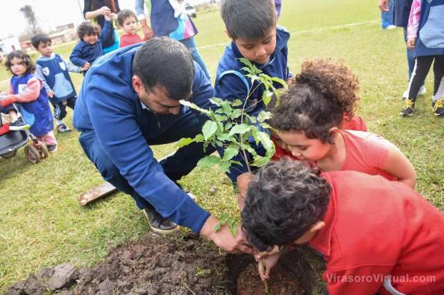 Plantacion arboles autoctonos
