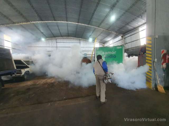 ¡Comenzaron la campaña de fumigación!
