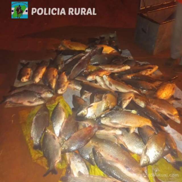 2 detenidos por contrabando de pescados