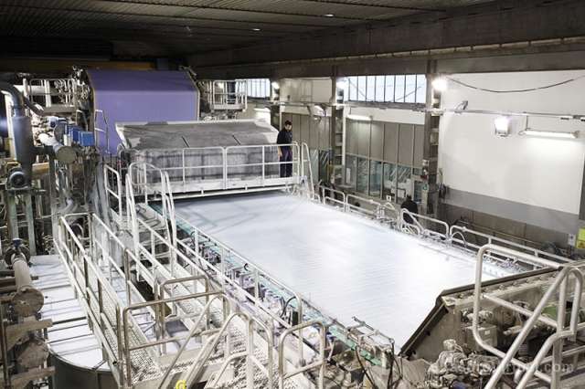 El gobierno de Ctes está promoviendo la instalación de una industria elaboradora de pasta celulósica
