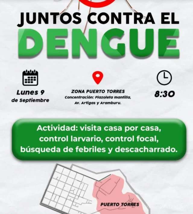 Lucha contra el dengue