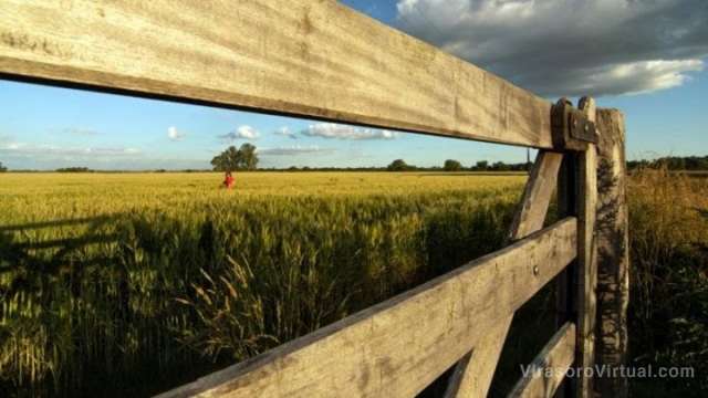 El SMN pronostica que la primavera en Argentina estará caracterizada por temperaturas más altas