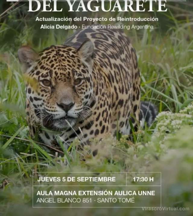 Reintroduccion del yaguarete