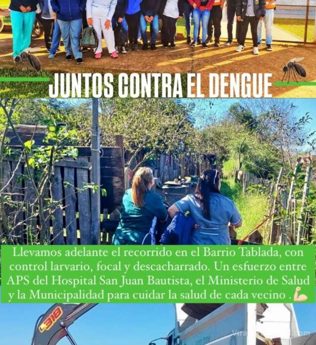 Juntos contra el dengue